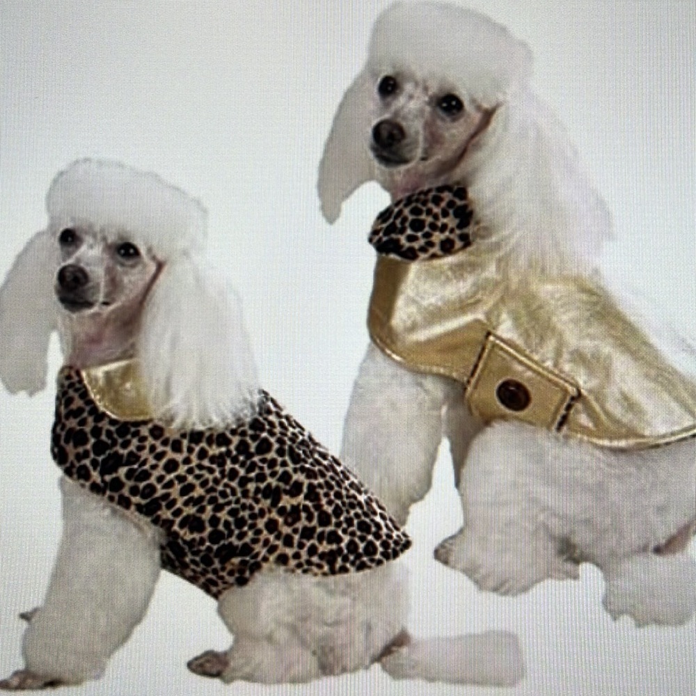 Leopard Print Dog Coat